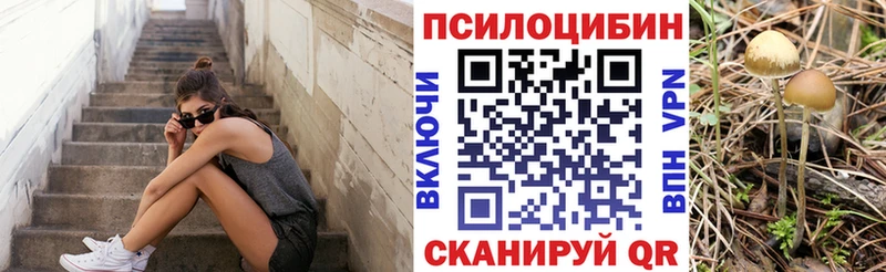 OMG ТОР  Сочи  Псилоцибиновые грибы Psilocybine cubensis 