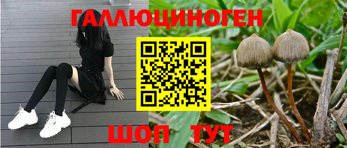 Сочи  Псилоцибиновые грибы Magic Shrooms  Вход с VPN 